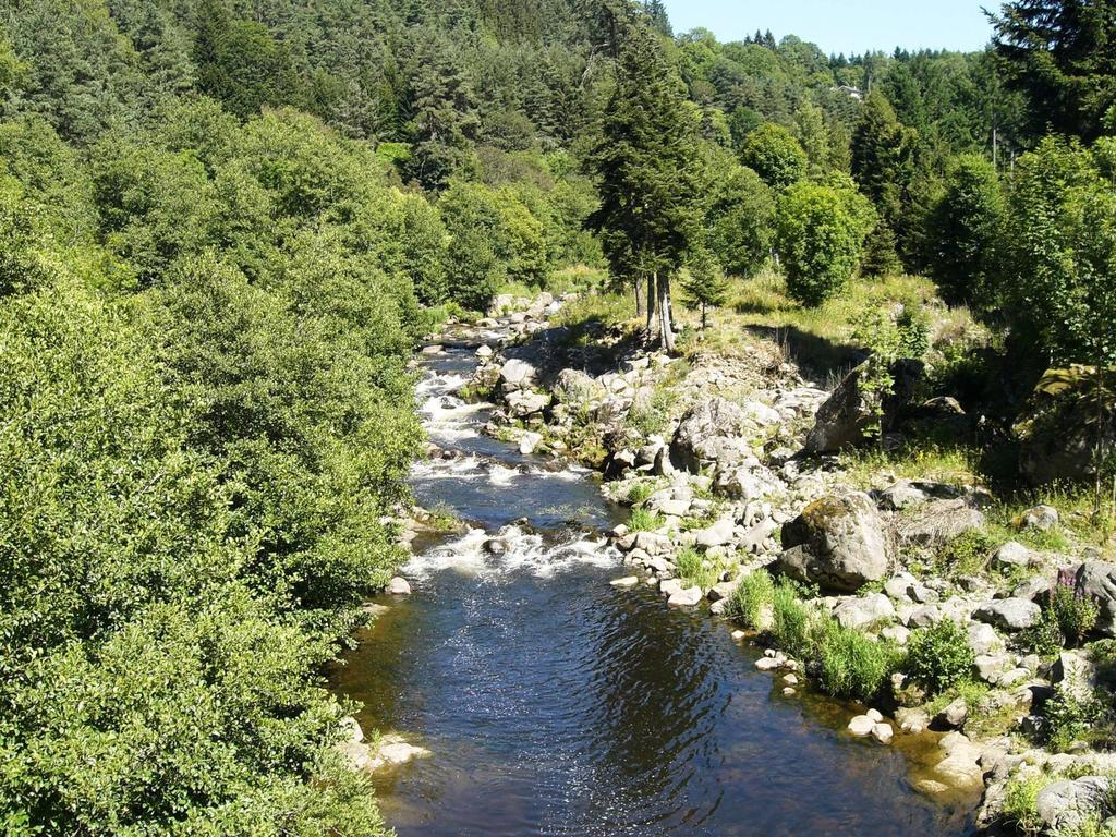 Vvf Haute Loire Haute Ardeche Tence Exterior photo